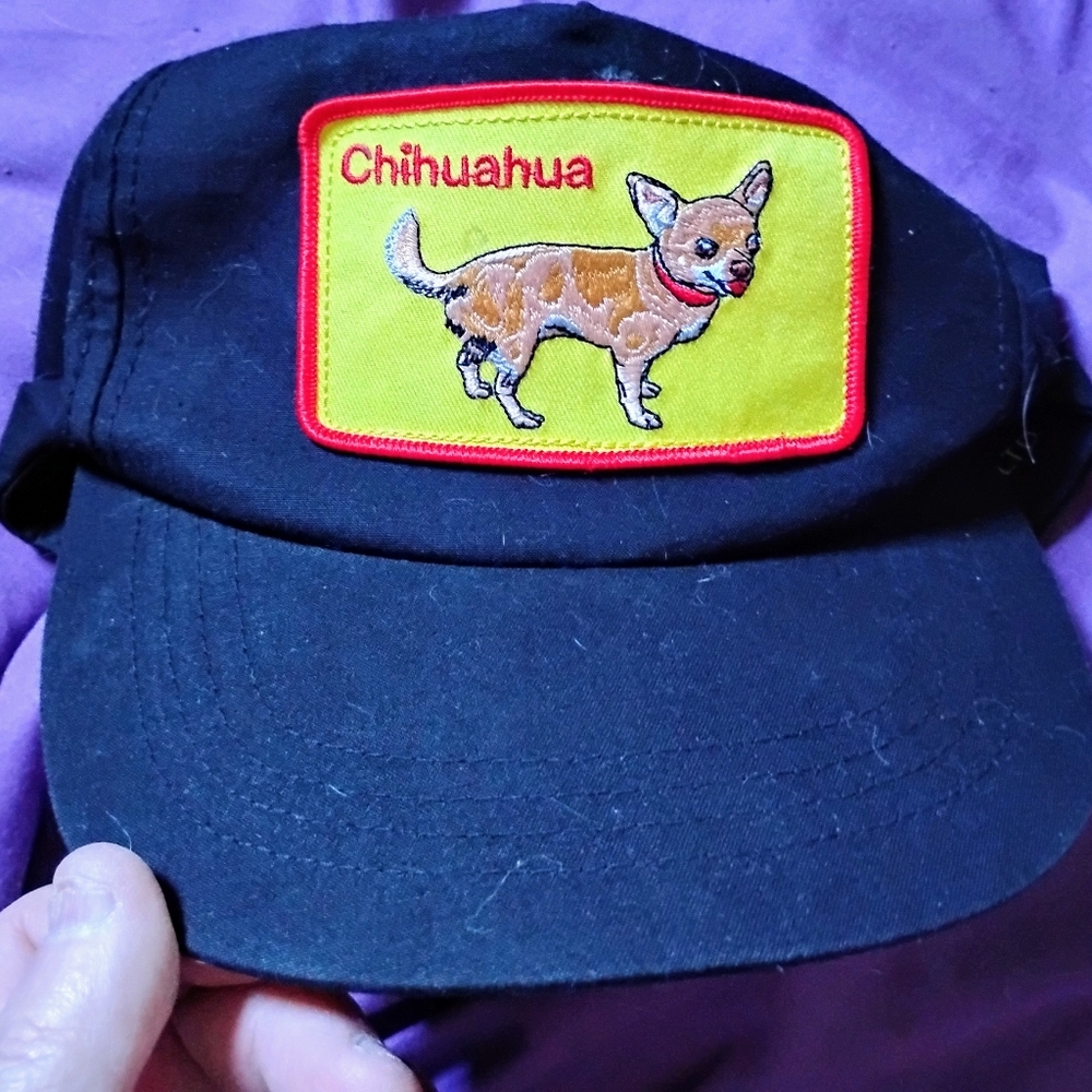Chihuahua Embroidered Black Dog Cap